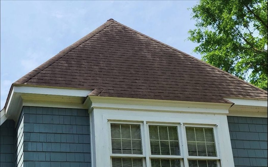 Roof soft wash before